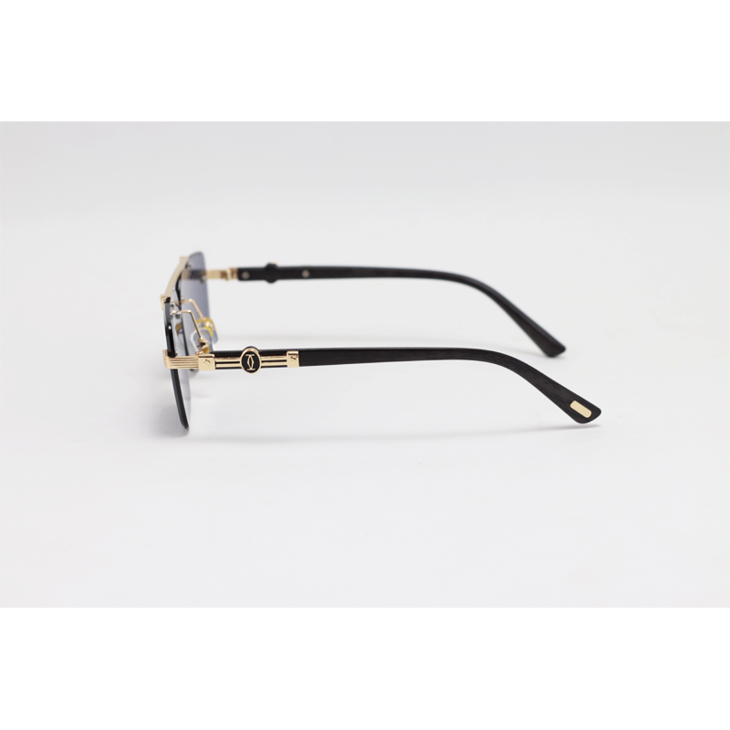 Ray Ban 3648 Metal Double Bridge Sunglasses
