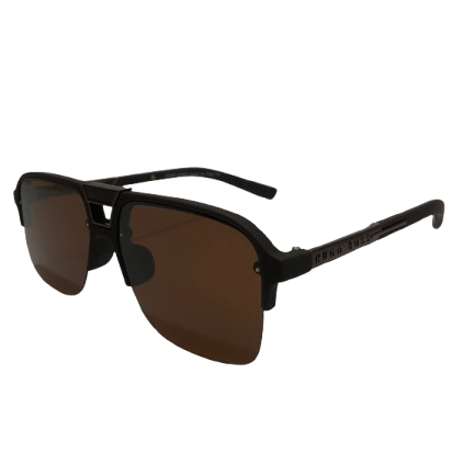 Hugo Boss Double Bridge Brown Sunglasses